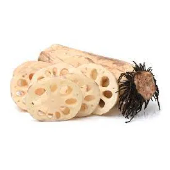 Organic Lotus Root 